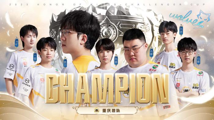 的支持也将